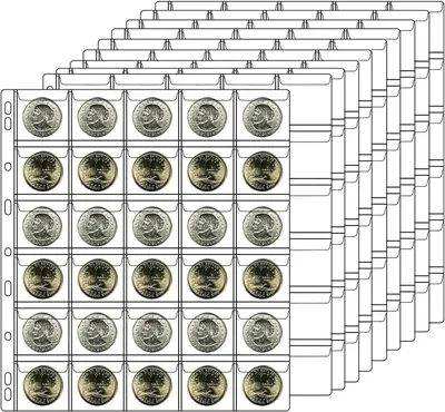 Productafbeelding van Munt Verzamelpagina's - Coin Holder Bladen - Collecties Organiseren - 30 Vakjes Per Blad - 300 Vakjes - Transparant
