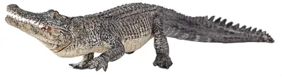 Immagine prodotto di Pianeta Animale Alligatore