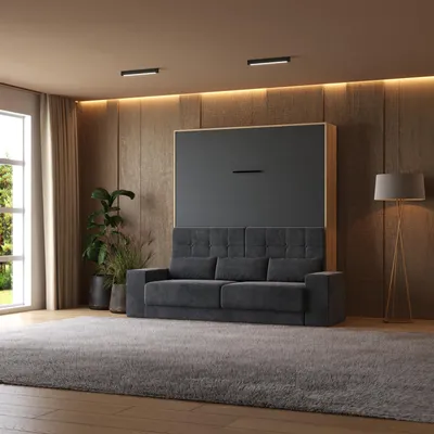 A modern living room with a murphy bed sofa combination.