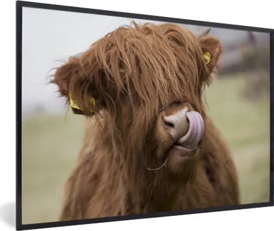 Produktbild von MuchoWow® Gerahmtes Poster Schottischer Highlander - Braun - Tiere 90x60 cm - Poster mit Schwarzem Bilderrahmen Wandposter Rahmen Foto Bilder - Fotorahmen - Foto-Plakat