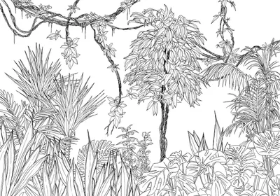 Immagine prodotto di Sanders & Sanders fotomurale giungla bianco e nero 400 x 280 cm