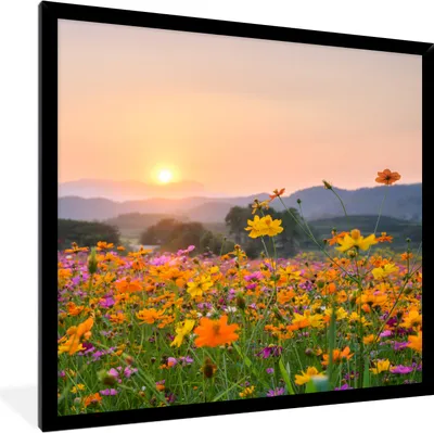 Produktbild von MuchoWow® Gerahmtes Poster Blumen - Sonnenuntergang - Berg 40x40 cm - Poster mit Schwarzem Bilderrahmen Wandposter Rahmen Foto Bilder - Mit Rahmen - Wanddekoration Schlafzimmer