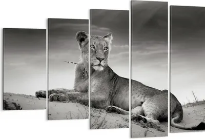 Produktbild von Bild auf Leinwand - Leinwandbild - Tierwelt weiblich katze Tier - 150x100cm - Wand Bild - Wanddeko - Leinwanddruck - Bilder - Kunstdruck - Wanddekoration - Leinwand bilder - Wandkunst - EG150x100-3165
