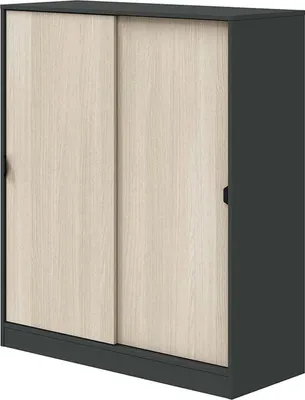 Produktbild von Dmora Kleiderschrank 2 Türen Resana 100x119h cm Anthrazit Schwarz, 4 Einlegeböden 2 Türen
