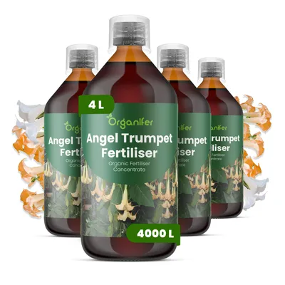 Produktbild von Engelstrompete Flüssigdünger 4x1L – 3-4-3 NPK – Flüssigdünger Für Blühpflanzen – Fördert Stiele & Vitalität – Organifer