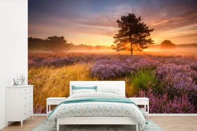 Produktbild von MuchoWow® Fototapete für Wohnzimmer oder Schlafzimmer Wandtapete Vinyl Motivtapete Heidelandschaft mit einem Baum - 525x350 cm - Das Hintergrundbild