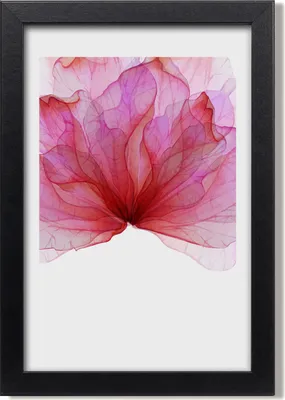 Produktbild von Bild 20x30 MDF-Rahmen, Wandkunst Rosa Blume