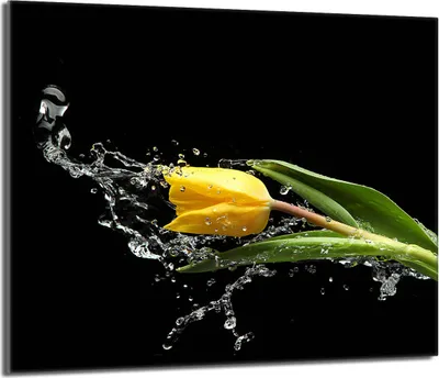 Obrázek produktu pro Kryt varné desky 60x52 keramický kryt varné desky splashback skleněná deska deco krájecí deska, tulipán černá