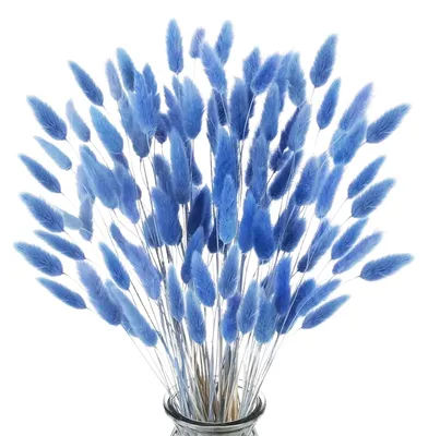 120 blaue Pampasgras-Stiele, 45 cm, Trockenblumen für Vasen, Boho-Deko
