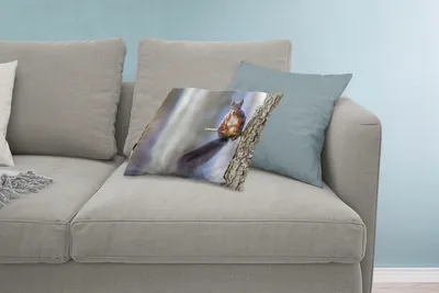 Produktbild von MuchoWow® Zierkissen Sofakissen Wohnzimmer Dekokissen 60x40 cm Waldtier - Eichhörnchen - Äste - Kopfkissen - Polster mit Foto