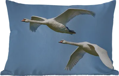 Produktbild von MuchoWow® Outdoor Kissen - Schwan - Vogel - Himmel - Blau - 60x40 cm - Wetterfest - Lounge Kissen - Zierkissen - Kissen für Innenräume
