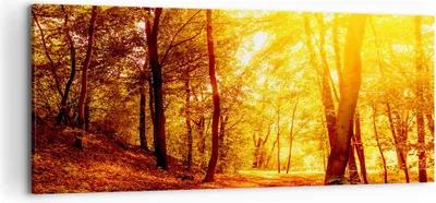 Produktbild von Bild auf Leinwand - Leinwandbild - Wald Baum Natur - 120x50cm - Wand Bild - Wanddeko - Wandbilder - Leinwanddruck - Bilder - Kunstdruck - Wanddekoration - Leinwand bilder - Wandkunst - AB120x50-3722
