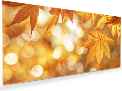 Produktbild von Glasbild 100x50cm in XXL für Wohnzimmer, Schlafzimmer Motiv Herbstlich Glitzernd