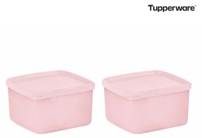 Produktbild von Tupperware Kleine rechteckige Gefrier-Behälter 400 ml (2)