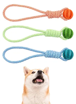 Imagen del producto de Juego para perros, set de 3 pelotas interactivas con cuerda, ideal para jugar y fomentar el movimiento