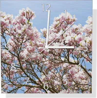Produktbild von Wallario Design Wanduhr Schöne rosa Magnolien-Blüten vor blauem Himmel aus Aluverbund, Größe 30 x 30 cm