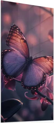 Produktbild von Glasbild 55x110cm in XXL für Wohnzimmer, Schlafzimmer Motiv Schmetterling Blüte