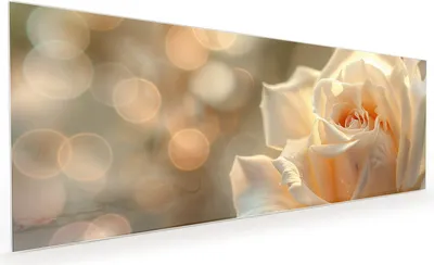 Produktbild von Küchenrückwand Spritzschutz Glas mit Motiv Elegante Rose 40 x 40 cm