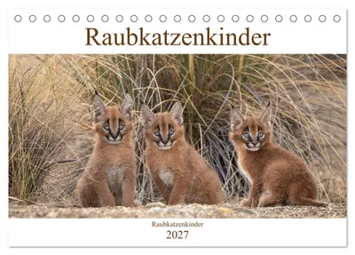 Produktbild von Raubkatzenkinder (Tischkalender 2027 DIN A5 quer), CALVENDO Monatskalender