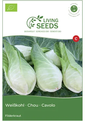 Produktbild von Grünkohl Filderkraut 3.9g Saatgut von Living Seeds