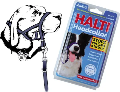Produktbild von Dressurhalsband für Hunde Company of Animals Halti Schwarz Maulkorb (40-54 cm)