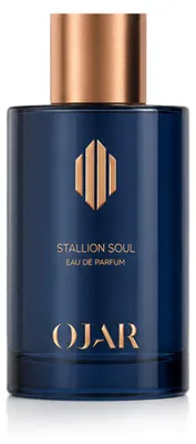Obrázek produktu pro OJAR Soul, toaletní voda pro muže, 100 ml
