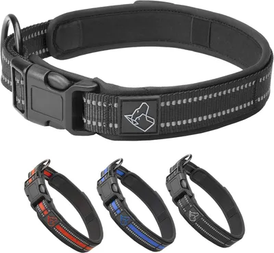 Produktbild von Hundehalsband mit Zeckenhalter, L, Nylon, reflektierend, schwarz, für große Hunde