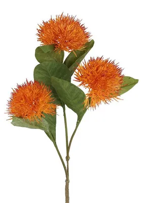 Immagine prodotto di Fiore artificiale Countryfield Carthamus arancione fiore decorativo 86 cm