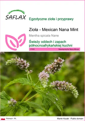 Zdjęcie produktu dla SAFLAX - Zioła - Mexican Nana Mint - 500 Nasiona - Mentha spicata Nane