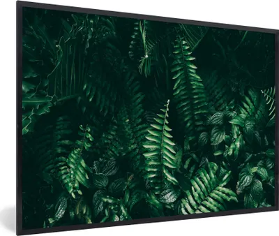 Produktbild von MuchoWow® Gerahmtes Poster Blätter - Dschungel - Natur - Tropisch - Pflanzen 90x60 cm - Poster mit Schwarzem Bilderrahmen Wandposter Rahmen Foto Bilder - Fotorahmen - Foto-Plakat