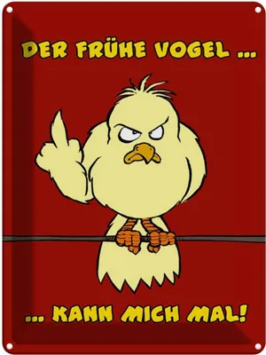Produktbild von vianmo Blechschild 40x30 cm Der frühe Vogel kann mich mal Spruch Zitat