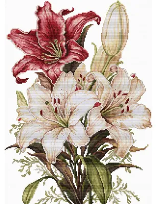Zdjęcie produktu dla Zestaw do haftu krzyżykowego "Zapach lilii" firmy Luca-S, wymiary 24x34 cm
