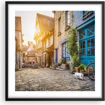Produktbild von Gerahmtes Poster - Schwarzer Rahmen - stadt straße katze - 50x50 cm - Wand Bild - Wanddeko - Wandbilder - Kunstposter - Wandposter - Bilderrahmen - Bilder - Kunstdruck - Wandbild - P2BAC50x50-3711