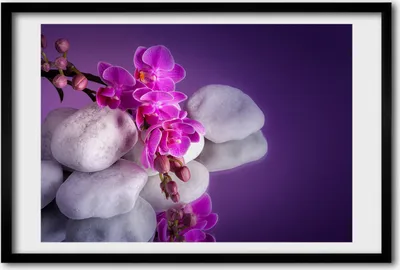 Produktbild von Bild 60x40 MDF-Rahmen, Wandkunst Orchidee