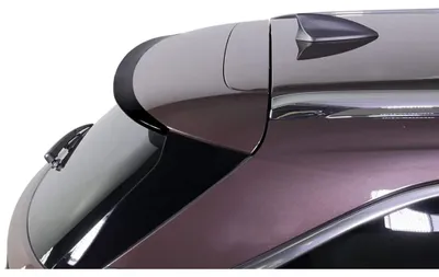 Produktbild von RDX Dachspoiler passgenau