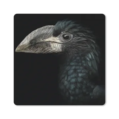 Produktbild von MuchoWow® Mauspad Mousepad Vogel - Porträt - Hornvogel - Schwarz - Tiere 30x30 cm - Mousepads - Maus Mat - Pad - Mausunterlage - Gaming