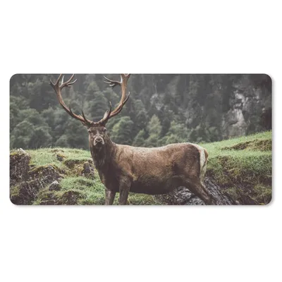 Produktbild von MuchoWow® Mauspad Mousepad Hirsch - Baum - Berg 60x30 cm - Mousepads - Maus Mat - Pad - Mausunterlage - Nachhaltig