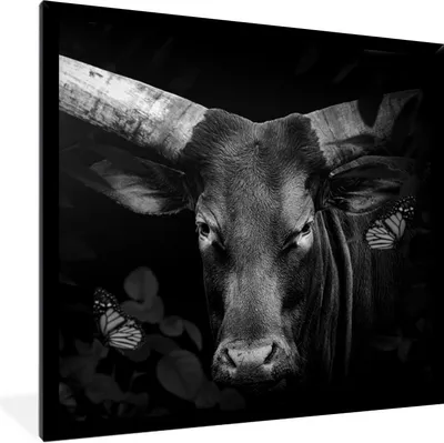 Produktbild von MuchoWow® Gerahmtes Poster Tiere - Kuh - Dschungel - Schwarz - Weiß 40x40 cm - Poster mit Schwarzem Bilderrahmen Wandposter Rahmen Foto Bilder - Mit Rahmen - Wanddekoration Schlafzimmer