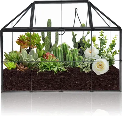 Productafbeelding van Groot geometrisch terrarium van handgemaakt glas, geschikt voor planten