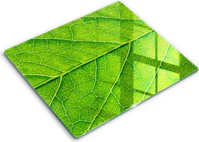 Produktbild von Glasschneideplatte - Herdabdeckplatte - 60x52 - Schneidebrett - Spritzschutz - Blattlinien Natur