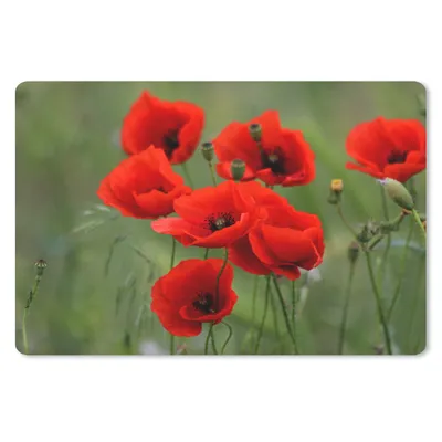 Produktbild von MuchoWow® Mauspad Mousepad Blumen - Mohn - Rot 27x18 cm - Mousepads - Maus Mat - Pad - Mausunterlage - Büroartikel - Desk Matten