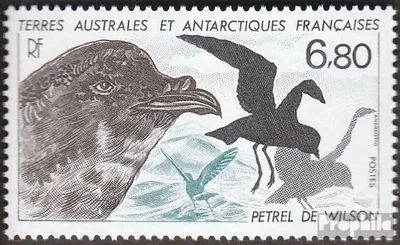 Produktbild von Briefmarken Französ. Gebiete Antarktis 1988 Mi 241 (kompl.Ausg.) postfrisch Tiere der Antarktis