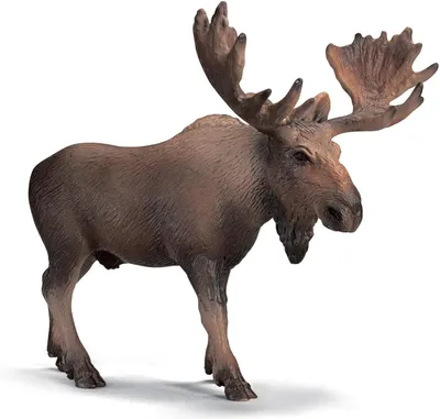 Produktbild von SCHLEICH 14310 - Elch