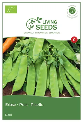 Produktbild von Zuckererbse Norli 13.6g Saatgut von Living Seeds