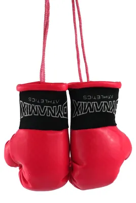 Produktbild von Dynamix Athletics Autospiegel Mini Boxhandschuhe Carbonix(Pink)