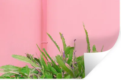 Produktbild von MuchoWow® Wandtattoo Wandsticker Wandaufkleber Pflanze - Sommer - Rosa 120x80 cm Selbstklebend und Repositionierbar - Selbstklebend - Fototapeten