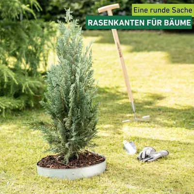 Produktbild von Runde Rasenkante zum Einfassen von Bäumen