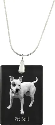 Obrázok produktu pre Pitbul - Krištáľový prívesok so psom, strieborný náhrdelník s fotografiou, personalizovaný prívesok značky Art-Dog