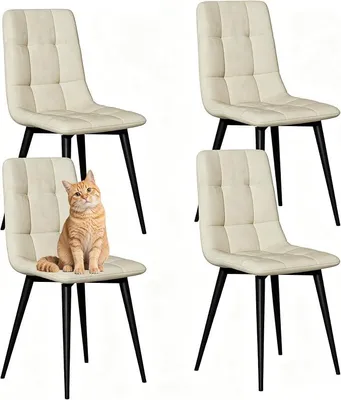 Imagen del producto de Juego de 4 sillas de comedor, tapizadas en terciopelo, color beige
