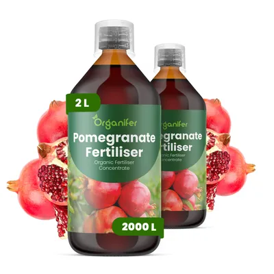 Produktbild von Granatapfel Flüssigdünger 2x1L – 2-1-8 NPK – Flüssig-Pflanzendünger für Granatapfel – Fördert Blüte, Fruchtbildung & stabile Wurzeln – Organifer
